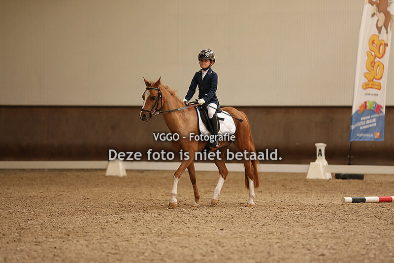 Dressuur & springen 11.00-13.00 uur