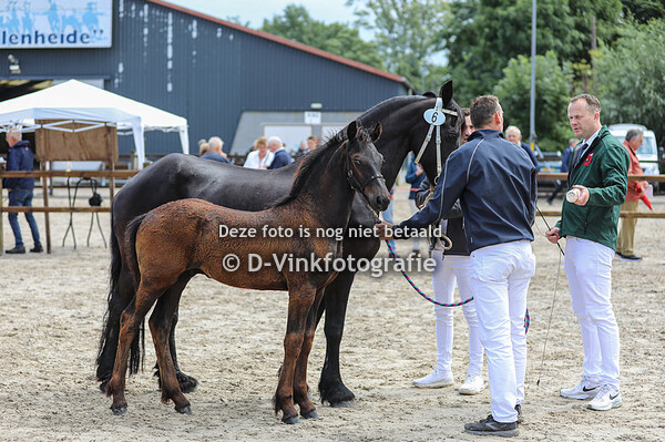 06. Wierd van d'n Meulenpad