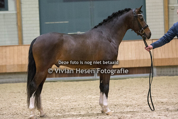 Verrichtingsonderzoek NWPCS jaargang 2017