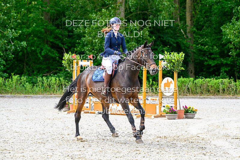 10 Rijstijl paarden 0.70 cm ZB