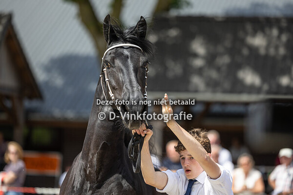 146. Imme fan Veldzicht