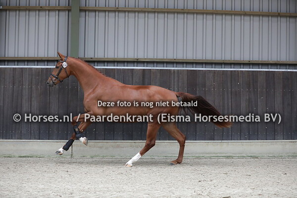28-07-2020 13:52:39