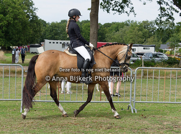 Gebruiksrubrieken, 12-07-2025