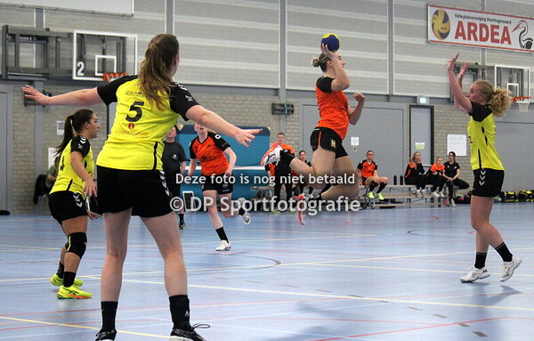 KSV DS1 - Meervogels '60 DS1 (24-20)