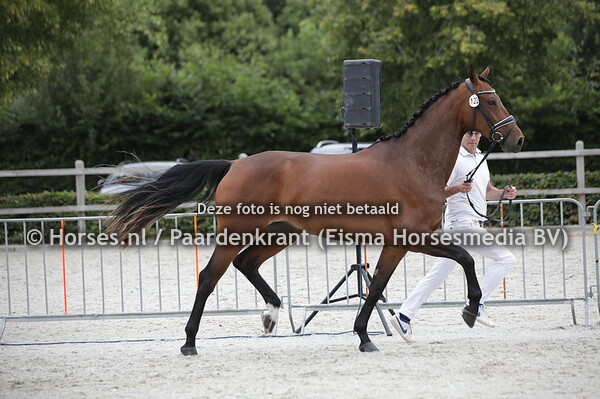 122 Onassis PP (Escamillo x femme fatale v. Florencio)