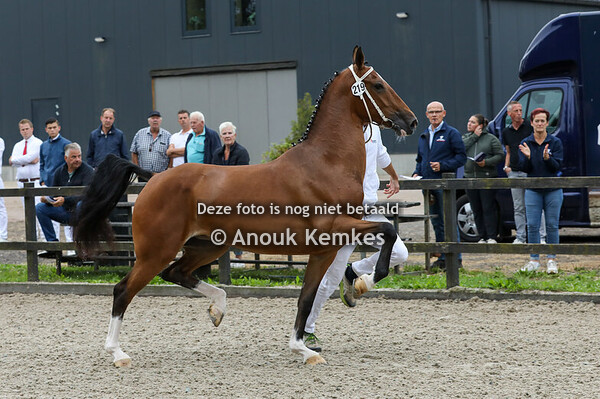 Ruwalda BP ( Hertog Jan x Delviro HBC ) 