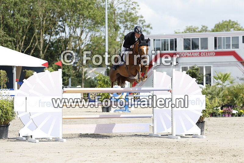 dennis van den brink