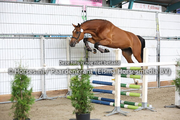 59 Specialsina (Conthargos x Etersina v. Indoctro)