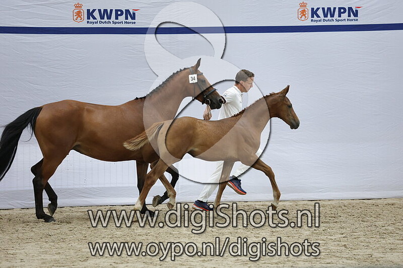 Vienna NJ v. Drummer 2000 TN