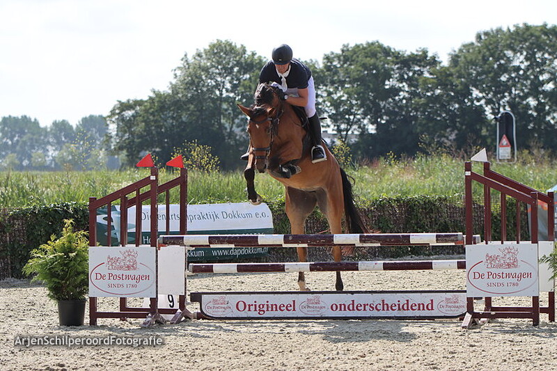 CH Dokkum 30-07-2022 90cm