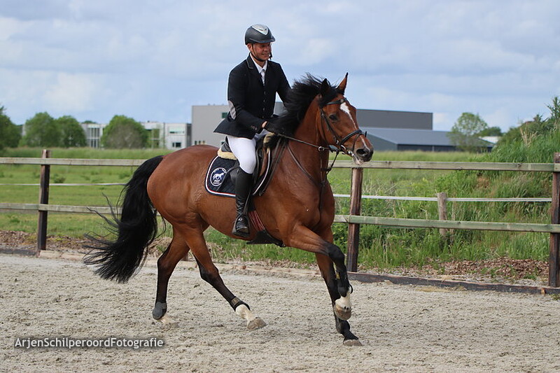 Hippisch Festijn PSV Polarfurst 2022 ZZ + Prijsuitreiking