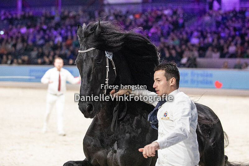 Hengstenkeuring 2024 Arent 515