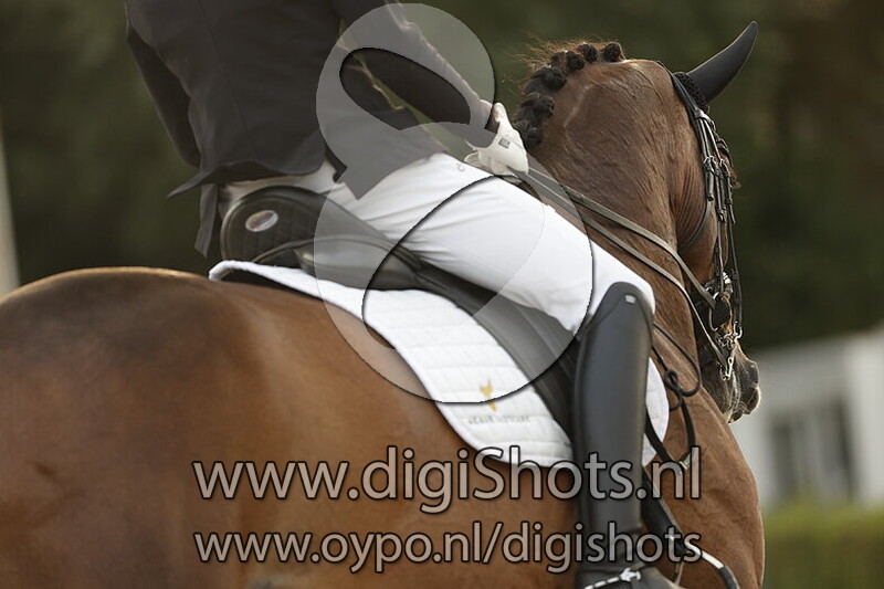 Ring 6 Klasse ZZ Licht Kur op Muziek