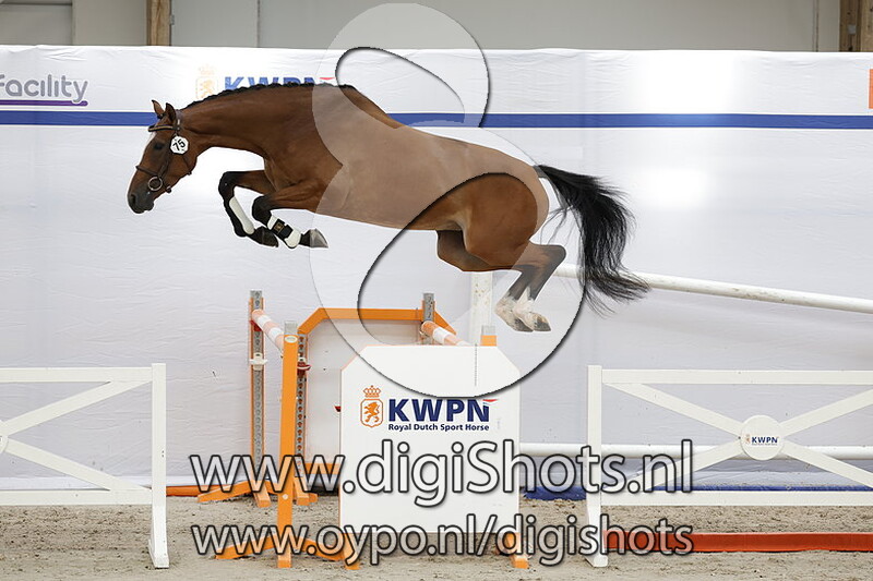 Peacock VM v. Lay Out