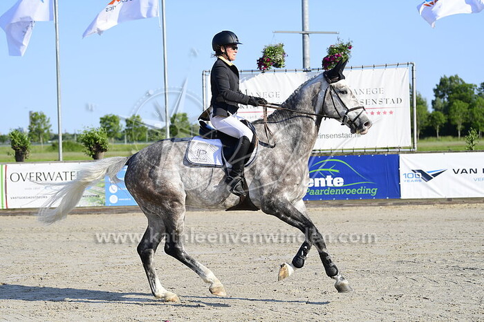 Ingrid Pruisken - Montoya