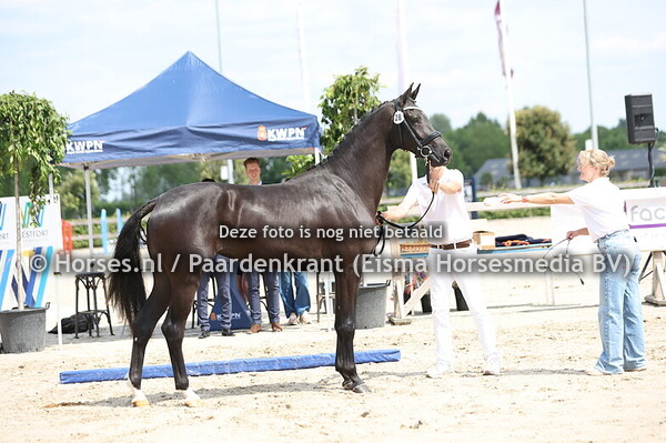 28 Sugar Me Set (Livius x Kiss Me Set v. Fellini)