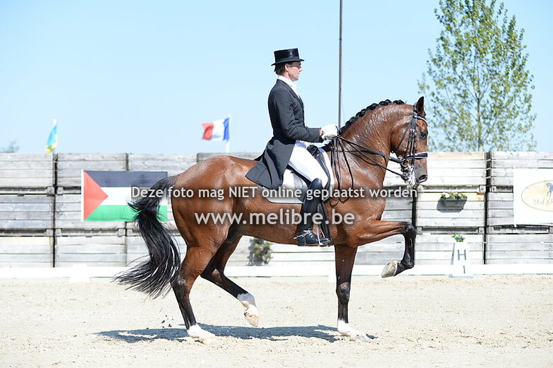 SATURDAY - CDI 3 Grand Prix