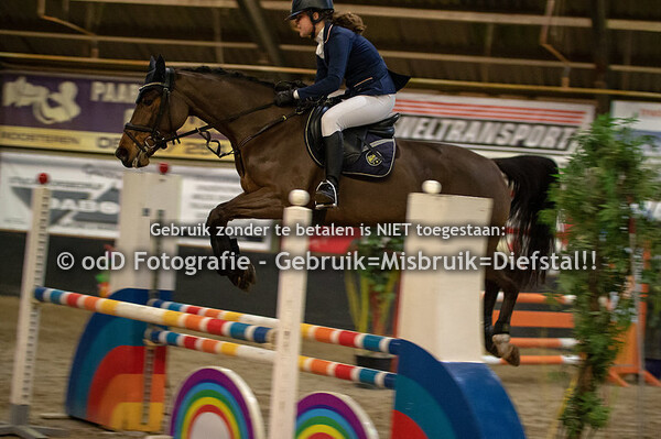 Regiokampioenschap Springen Pony's 09-02-19