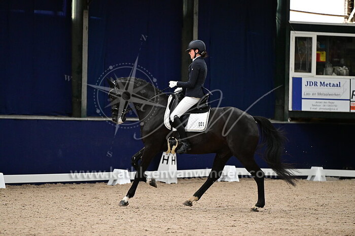 Deborah van Mook - Odin