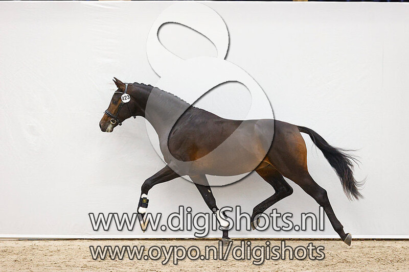 Nirvana DC v. Furstenball