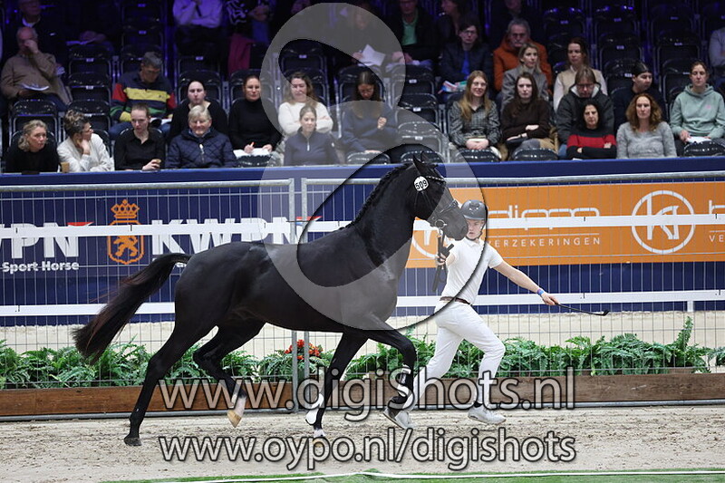 So Special v. Total McLaren