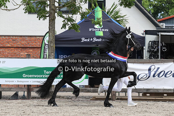 96. Ulke fan 't Hoolven