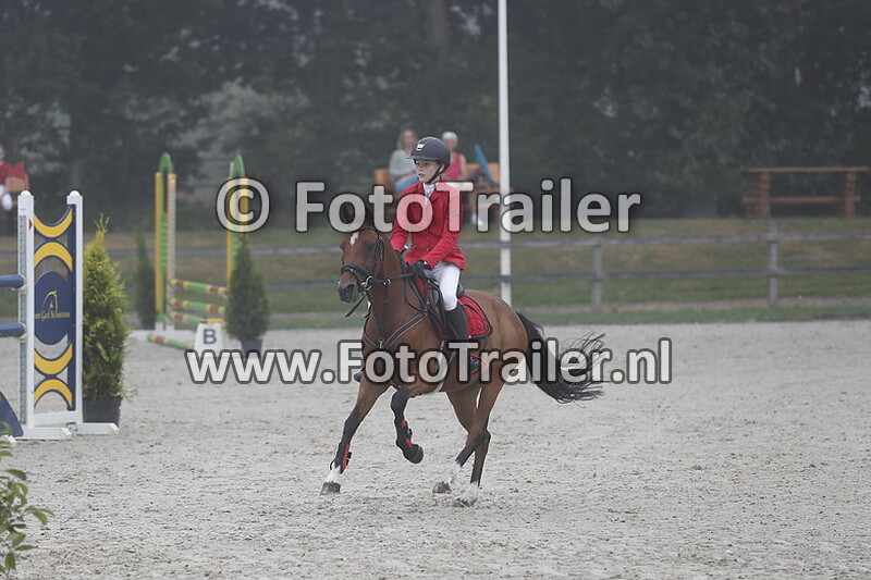 jo ann von der heide