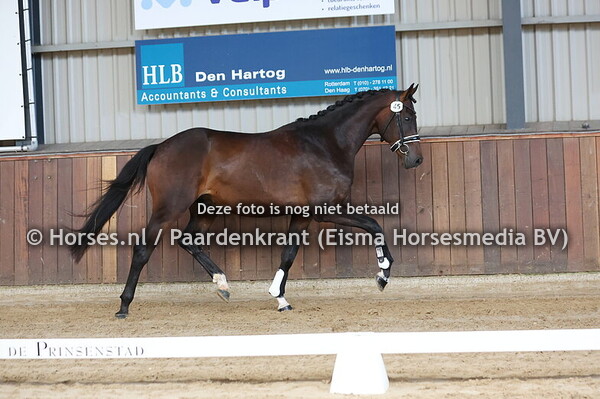 43 Reiju TF (Furst Dior x Reiki v. Rhodes Scholar)