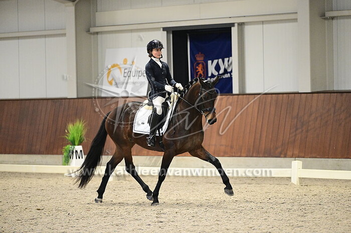 Annelies Crul - Rosalin E