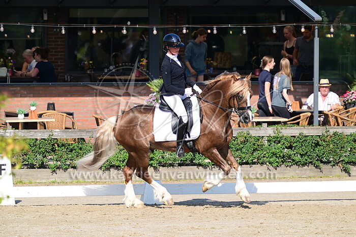 Annet Borgstijn - Picasso