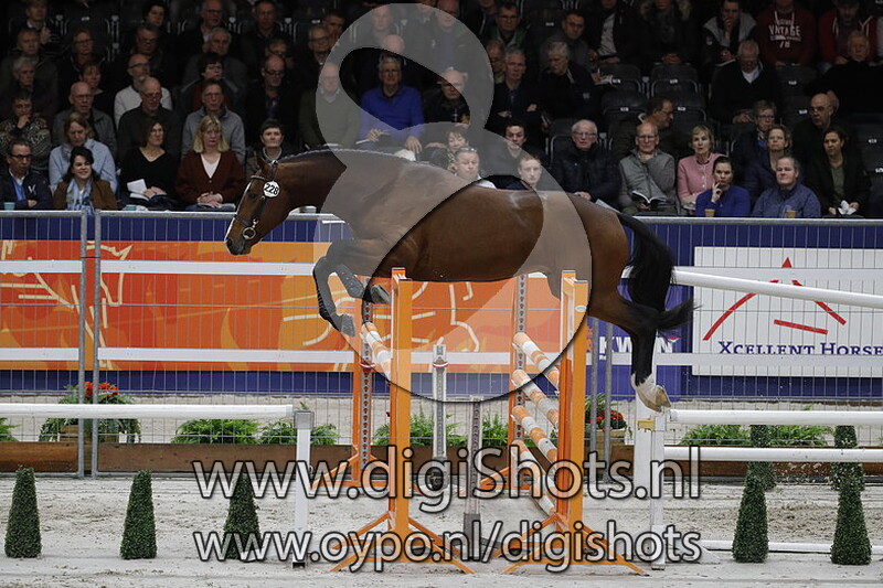 Rapide K van t Kattenheye 228