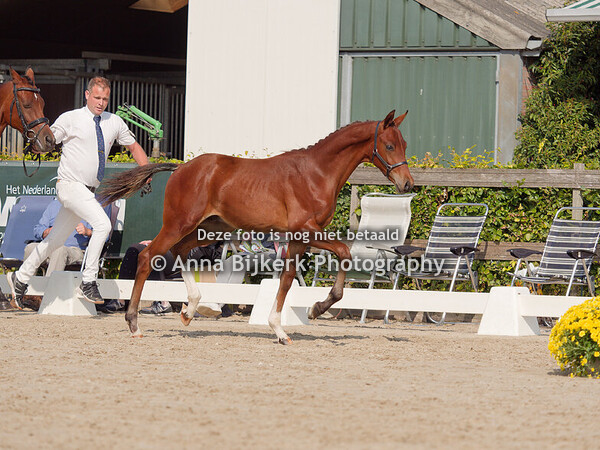 WPBR Keuring 31-08-2024 Houten