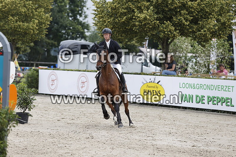 dennis van den brink