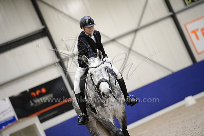 Isabelle van den Brink