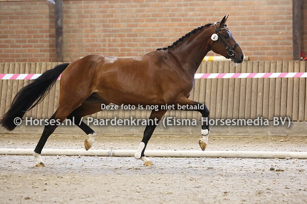 2 Summertime Dream MW Bloomberg x Flower Dream v. Floresco)