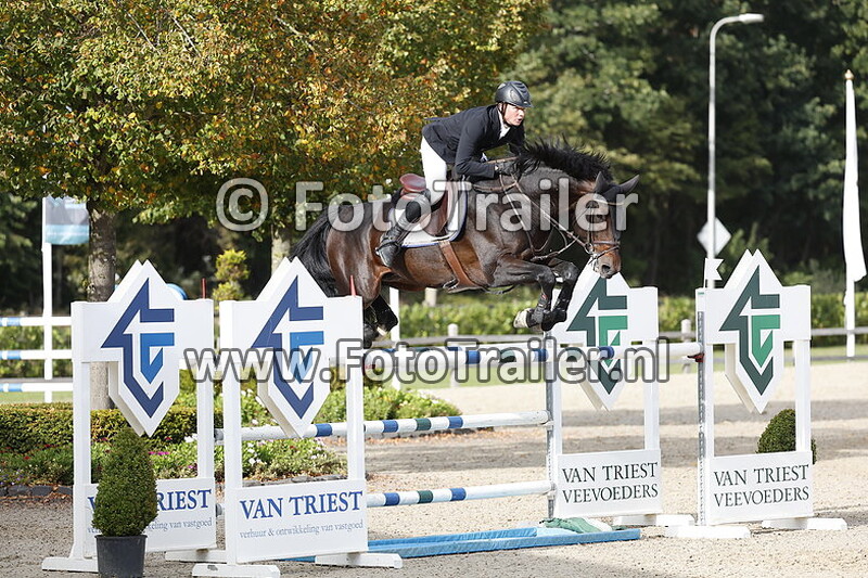 dennis van den brink