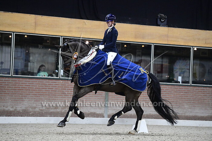 Domique Lanjouw - Nemesio