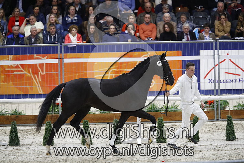 Lucky One M v. High Five U.S