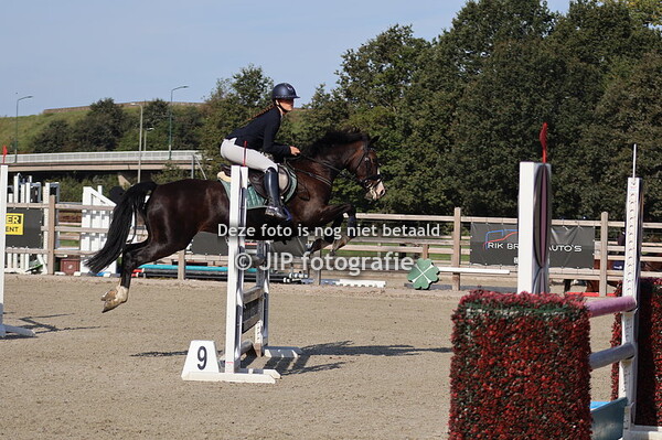 Bavel springen pony en paard 16/9/2023