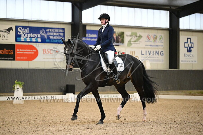 Laura Stalenhoef - Oakheart