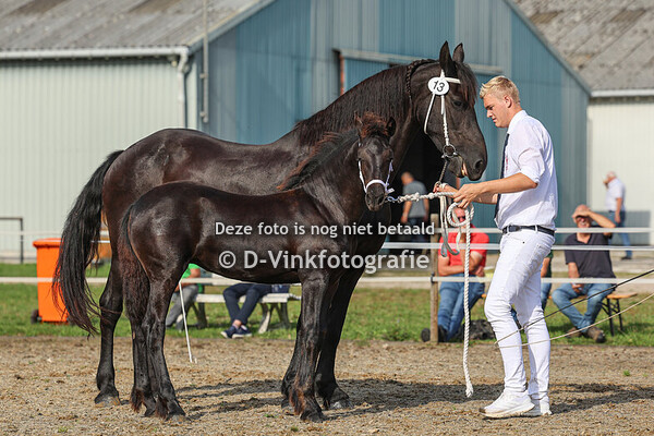 13. Fenne fan D'Oever