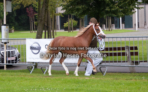 Memorial Rudy Landuyt