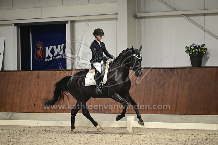 Jasper van der Vuurst de Vries - Progress