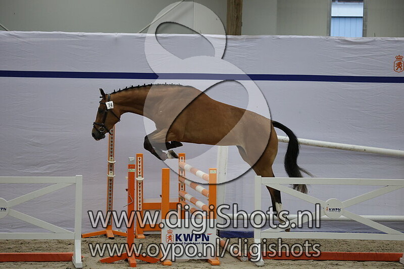 Sera fan e Five v. Grand Slam VDL