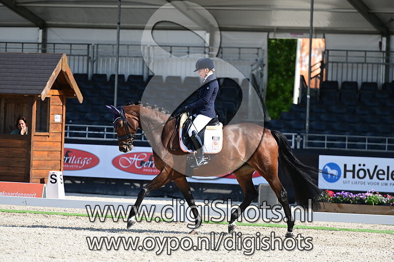 Eisma's Akuna Matata