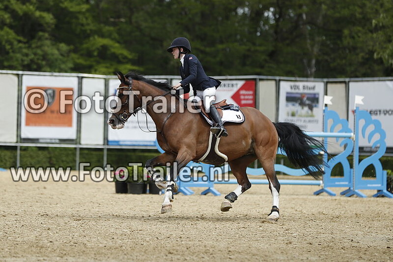 sofie rieber mohn borgen