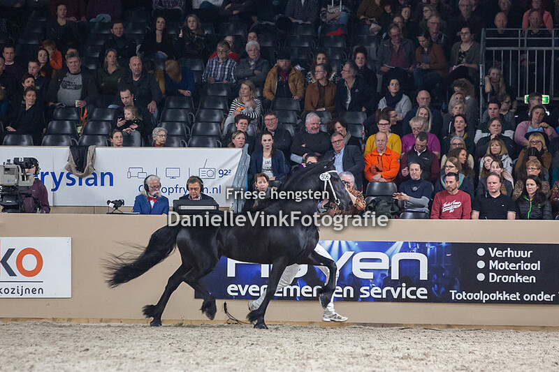 Hengstenkeuring 2020 Ulbe 506