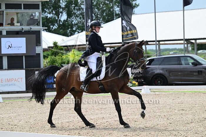 Michelle Wooning - De Crusador