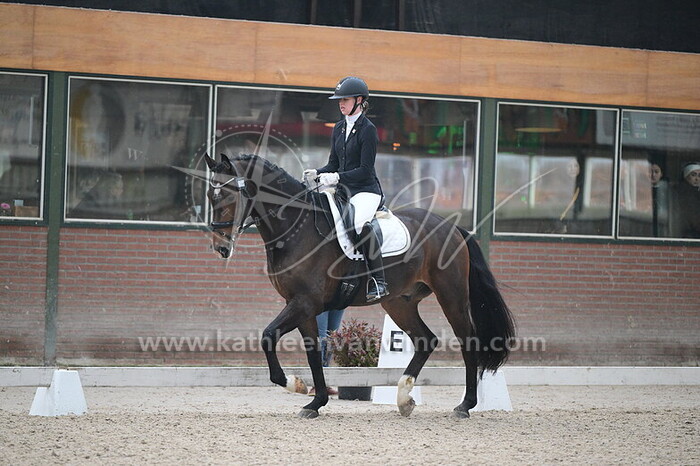 Lynn Corts - Pacchino