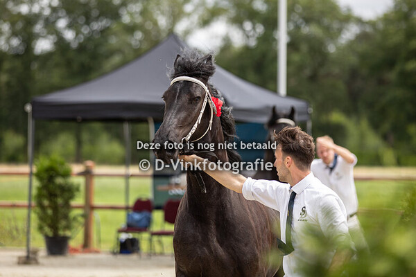 31. Suske fan de Slachtedyk